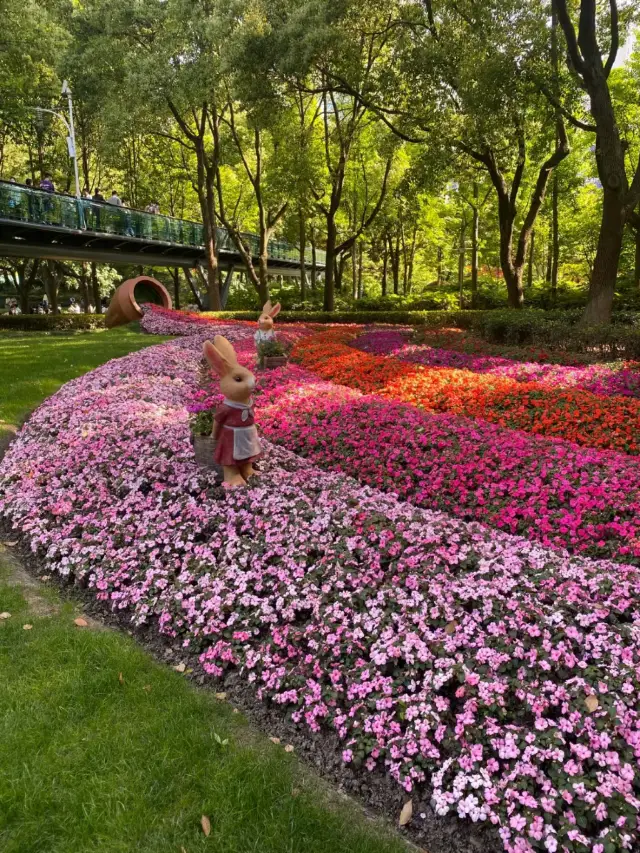 逛公園是一種怎樣的體驗這份合集就來告訴你