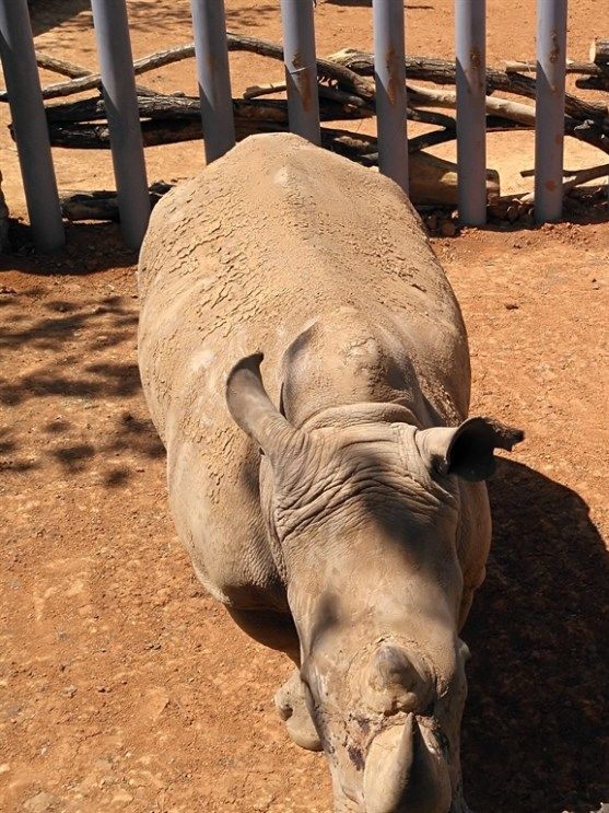 沈陽|森林動物園週末一定要來哦