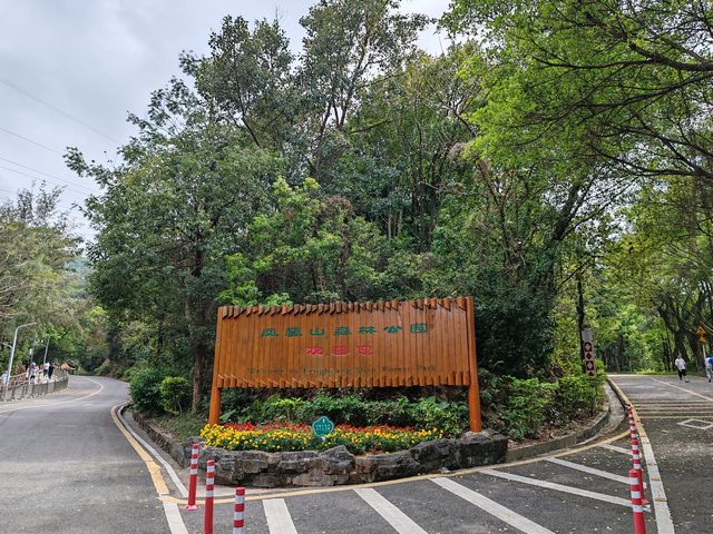 攀登深圳十峰之一的鳳凰山