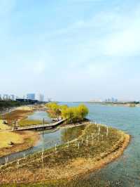 宿州汴河博物館：整個建築造型為一艘揚帆的巨輪，稱為“遠航”