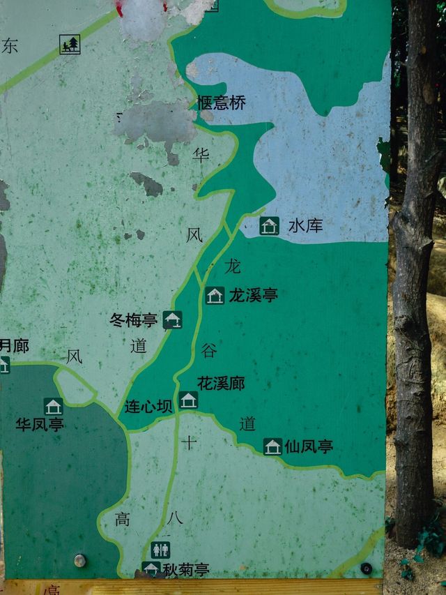 休息去哪裡→陽台山森林公園