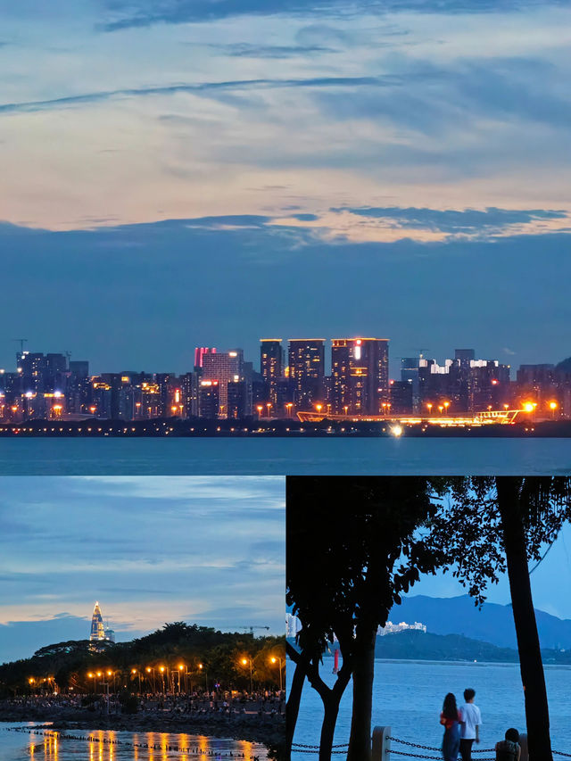 這裡是三亞|深圳海濱生態公園遊玩攻略