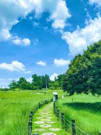天啊，深圳已經達到了宮崎駿夏日的next level