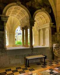 Abbaye Royale de Fontevraud