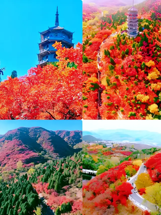 濟南紅葉谷|「江北九寨溝」的秋天太美了