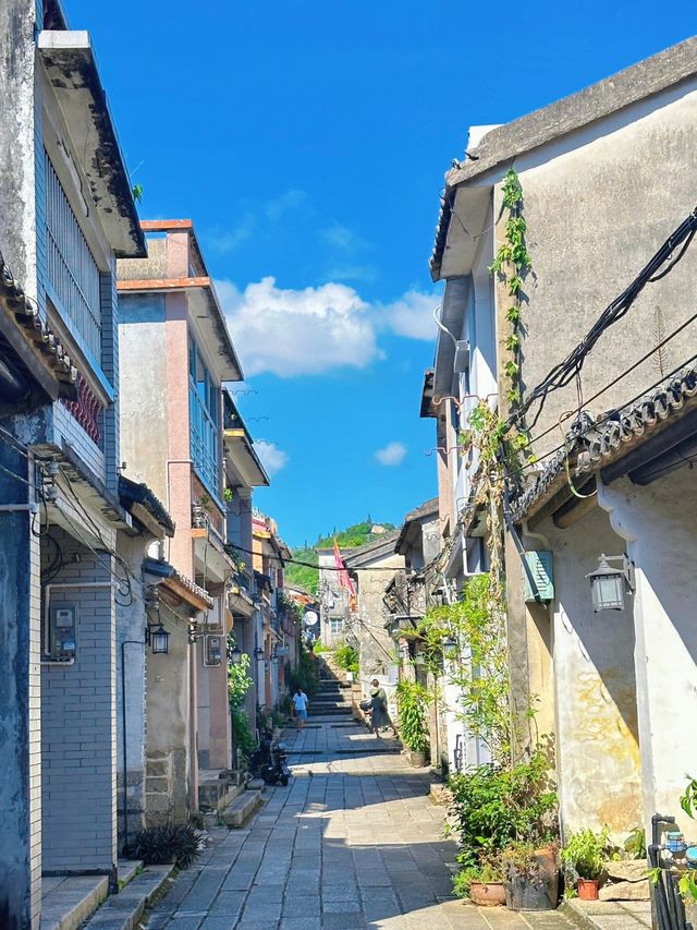 不用去雲南，深圳也能去有風的地方