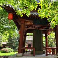 太原碑林公園·看傅山書法