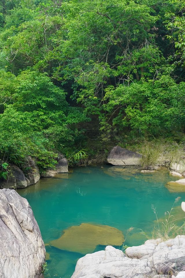 在廣州‖我走過最舒服的4km溯溪步道～