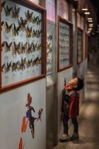長春免費遛娃｜吉林省自然博物館