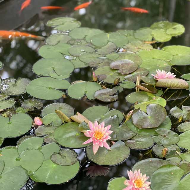 Indoor Botanical Garden in Taiyuan 