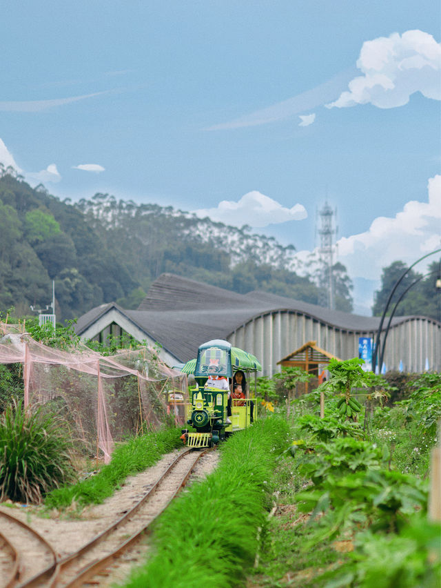 ✨ 跟風最成功的一次！天人山水之旅✨