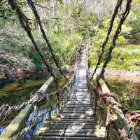 高松旅行 | 絲國村