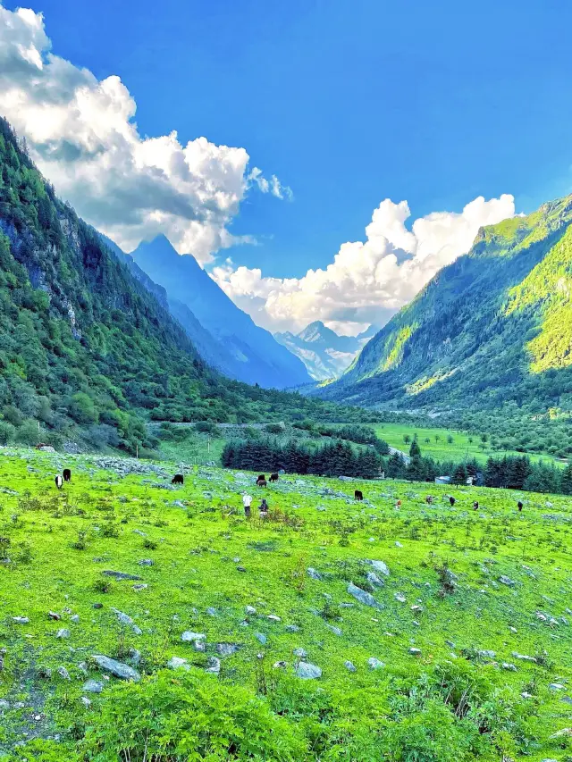 川西開始綠啦推薦6個旅行地，好像走進油畫！