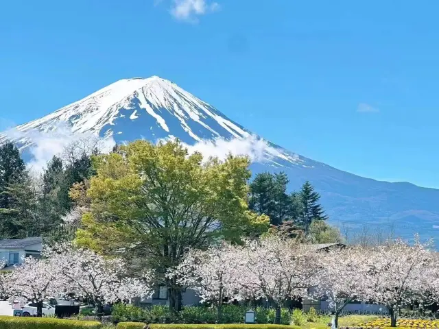 Mount Fuji when the weather is nice