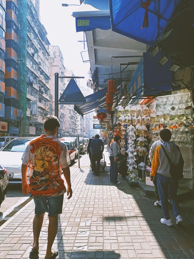 旺角金魚街 | 沉浸在王家衛的重慶森林 旺角金魚街 | 沉浸在王家衛的重慶森林