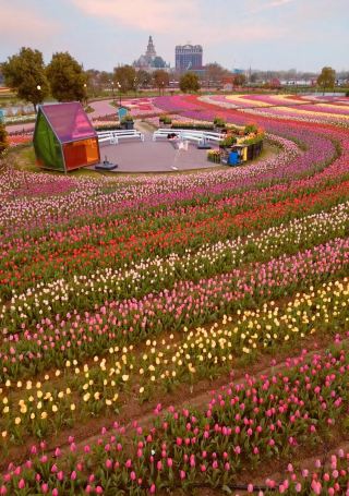 역방향 여행지 소개, 대풍•4