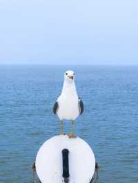 榮城｜親子遊絕不能錯過的寶藏海邊