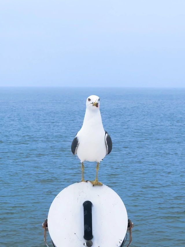 榮城｜親子遊絕不能錯過的寶藏海邊