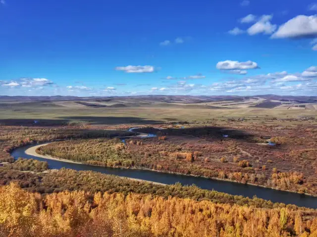 There really is a birch forest from the songs, both artistic and romantic