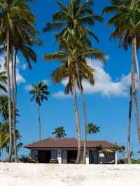 🌴🛏️ Zanzibar's Hidden Gem: Luxe Stay at The Residence 🌞