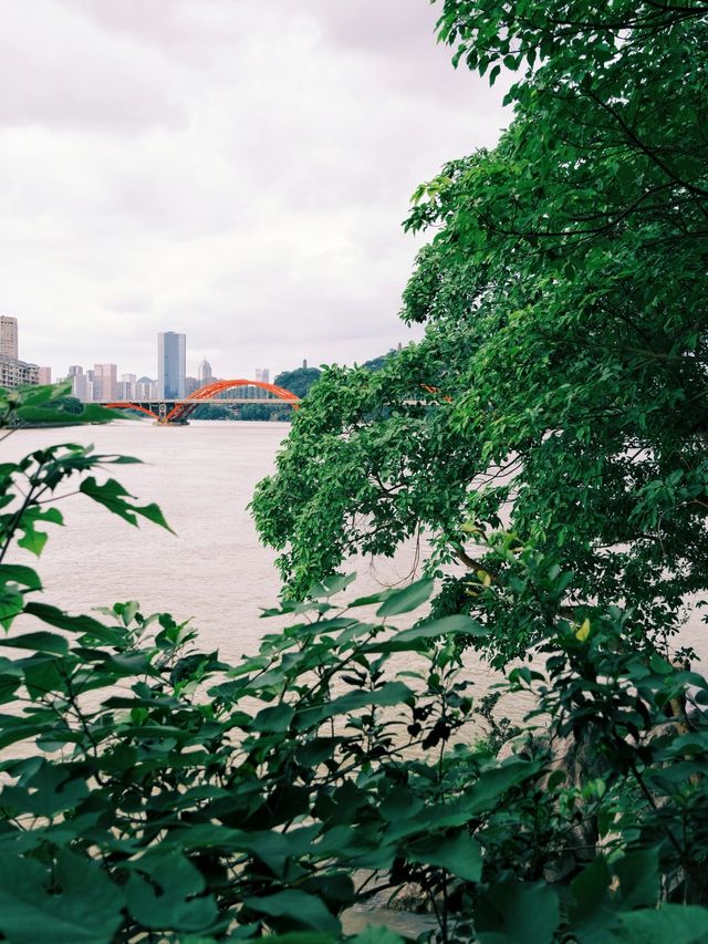 柳州旅遊|江濱公園|老城區的靚麗風景線