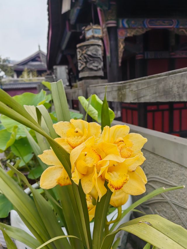 假日寺廟一日遊