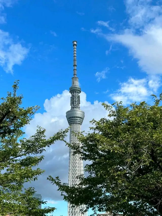 SKYTREE in Tokyo is a Vibe🇯🇵😍❤️