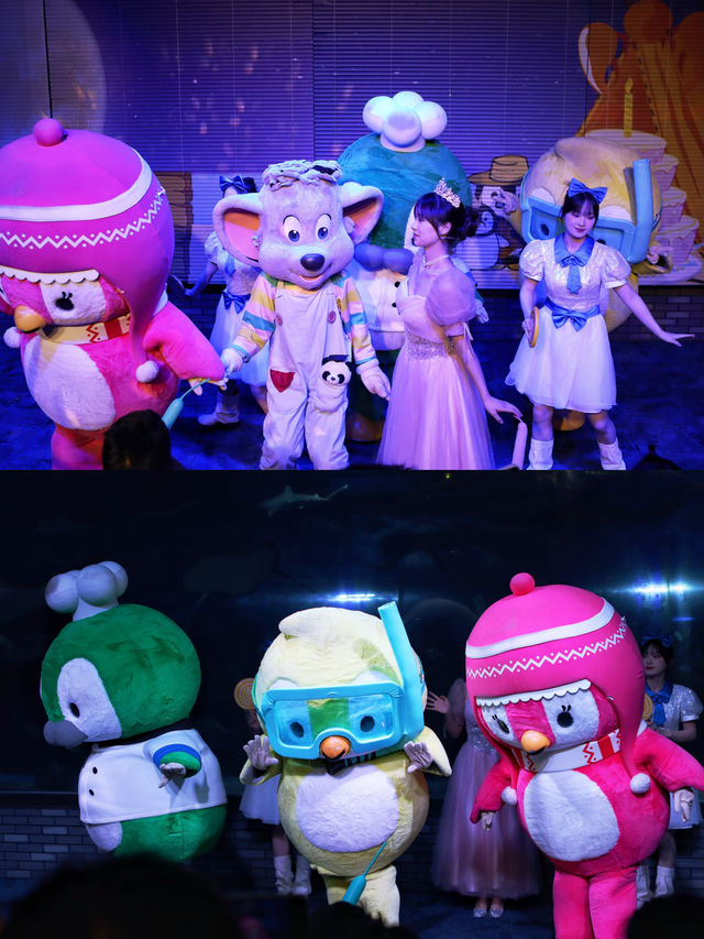 成都週末|海洋館看鯨鯊、企鵝、美人魚,種草浩海立方 成都週末|海洋館看鯨鯊、企鵝、美人魚,種草浩海立方