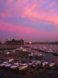 🌟 Baltimore Bliss: Luxury & Views at Four Seasons 🌟