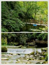 雨後黑山谷、夏日來避暑