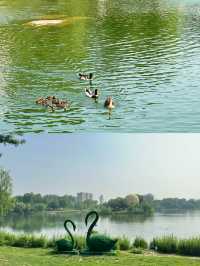 河北·廊坊固安大湖公園