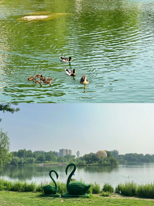 河北·廊坊固安大湖公園