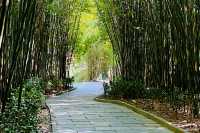 梵淨山腳下冷門小眾景點｜亞木溝風景區