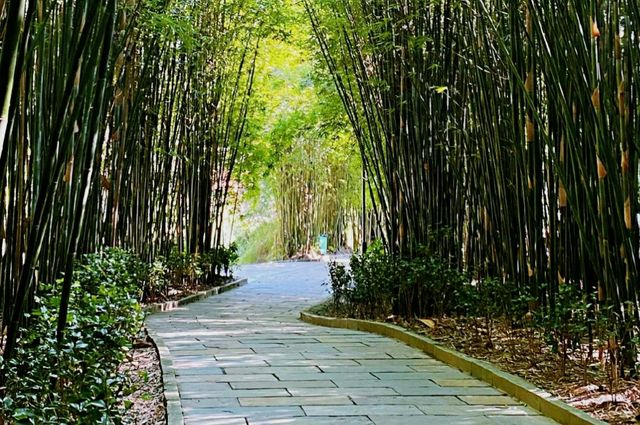 梵淨山腳下冷門小眾景點｜亞木溝風景區