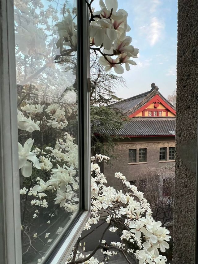 南京citywalk路線推薦