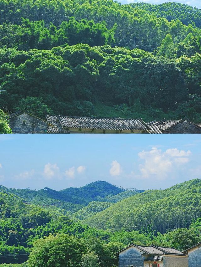 廣州有自己的阿勒泰鑫這避世清涼山谷絕了~