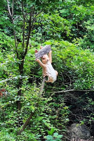 Alice's Wonderland | Lushan Divine Bull Grand Canyon
