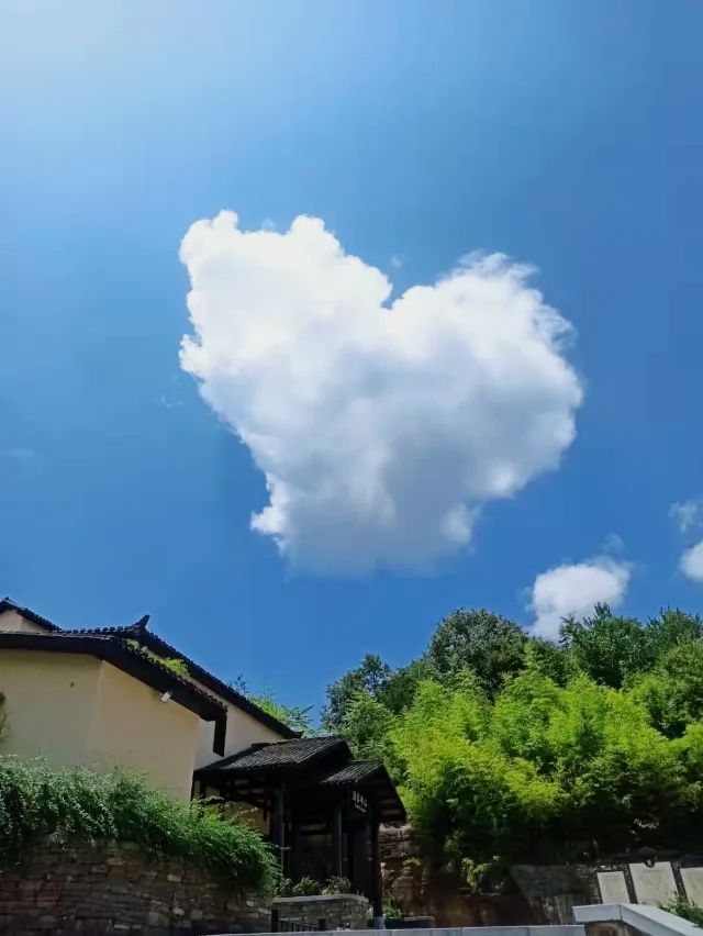 發現一個寶藏旅遊地～九路寨|打卡保康九路寨生態旅遊區