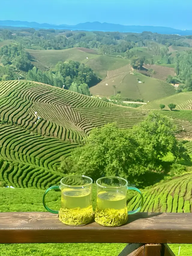 Xinyang | A Severely Underrated Relaxing Small City