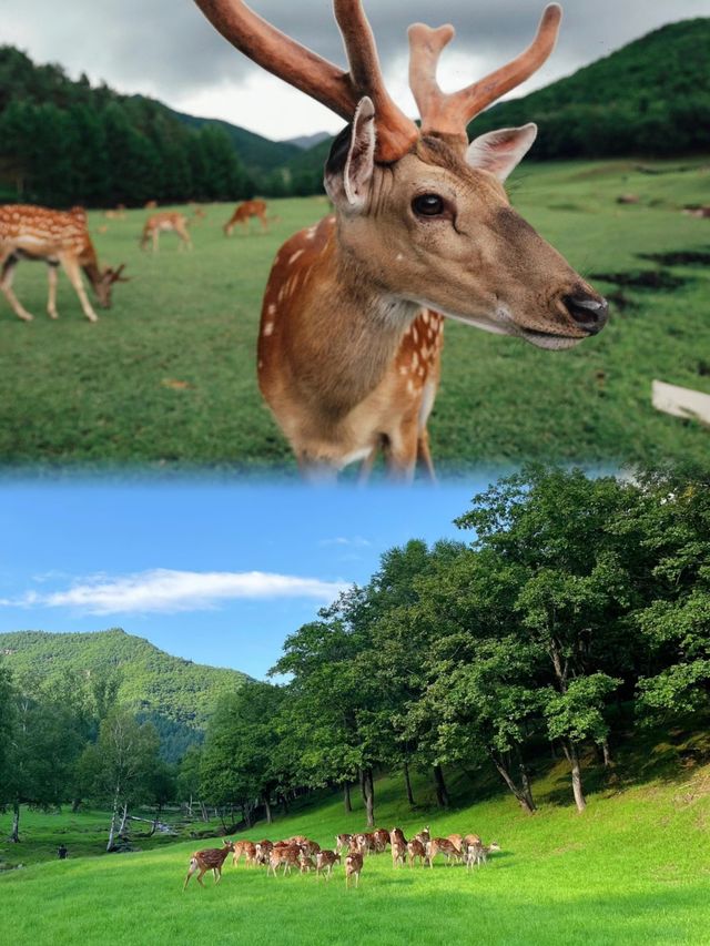 這個夏天一定要去人間秘境