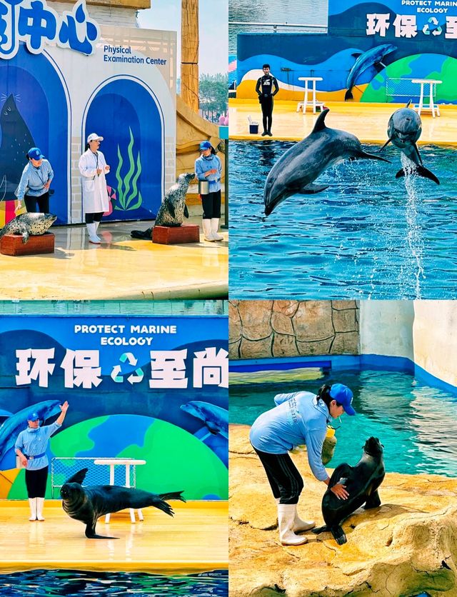 不來一次樂島!就算白過這個夏天