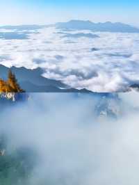 承德霧靈山啊，真是避暑最佳好地方