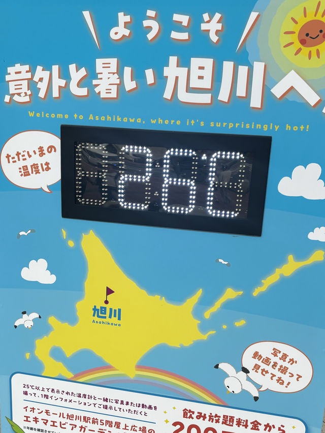 意料外很熱的旭川，意料中的美
