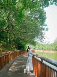 深圳小眾徒步路線，連接公園古鎮的舒適之旅🌳🏘