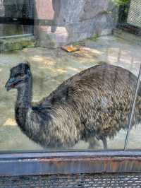 【中山公園】有中式庭院+動物園+相親角，得閒來逛逛吧