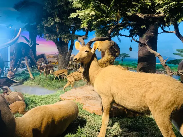 พิพิธภัณฑ์ธรรมชาติแห่งชาติ สำรวจสัตว์ประหลาดก่อนประวัติศาสตร์! เฮ้เพื่อน อยากเจอกับไดโนเสาร์ไหม