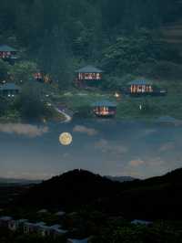 秦嶺雲端的茶山民宿，避世修心