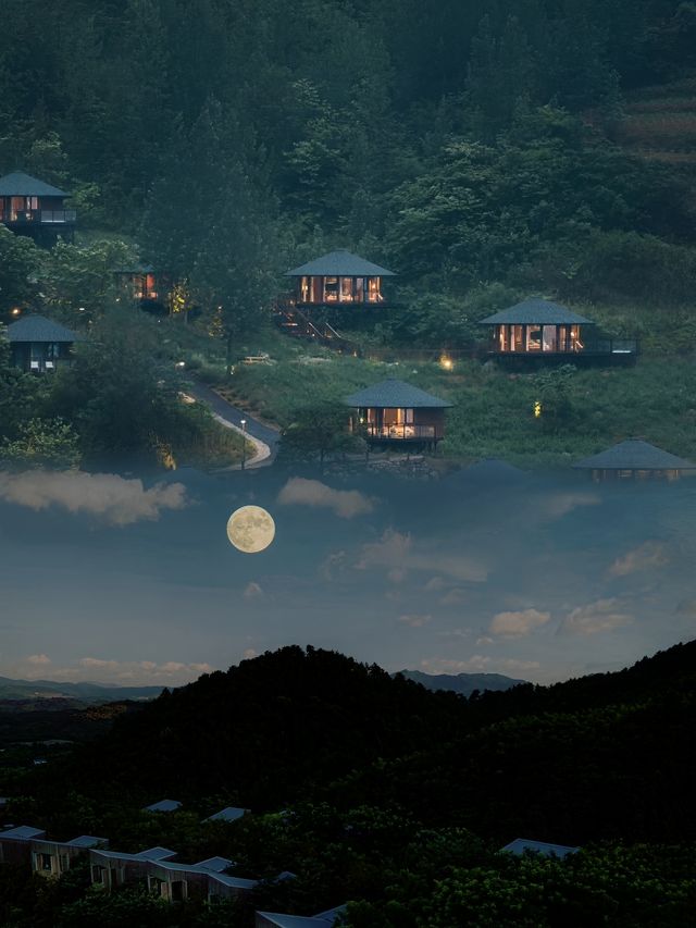 秦嶺雲端的茶山民宿，避世修心