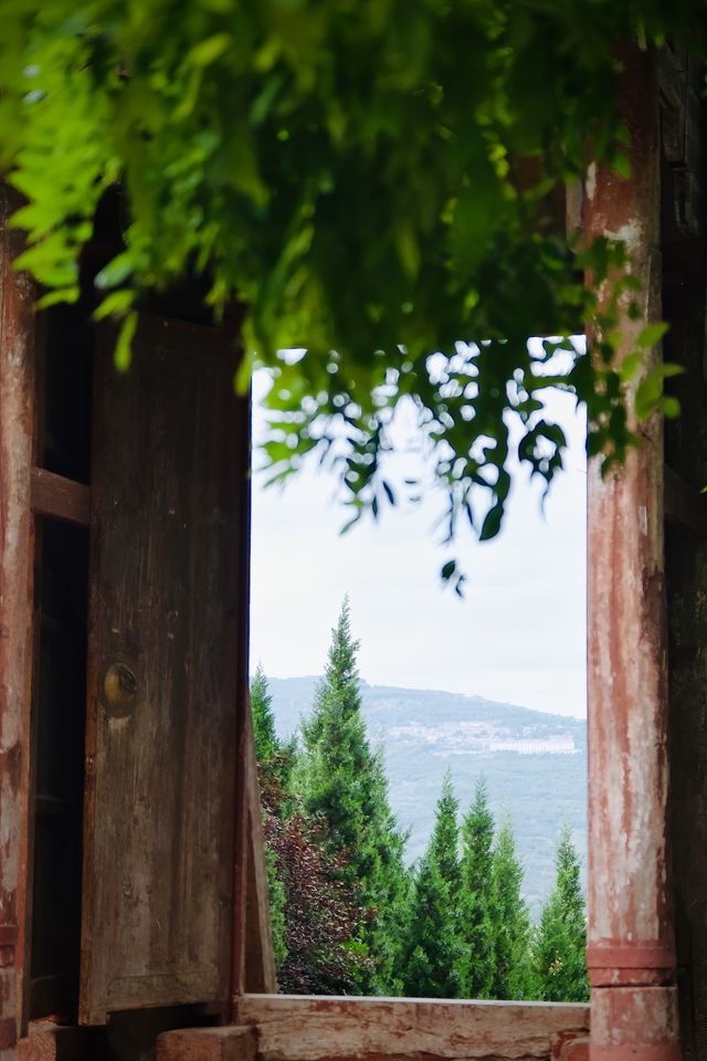 如果說古樹是南郭寺的根，那杜詩就是南郭寺的魂。