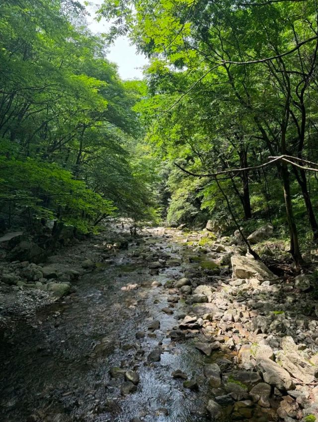 秦嶺國家植物園。